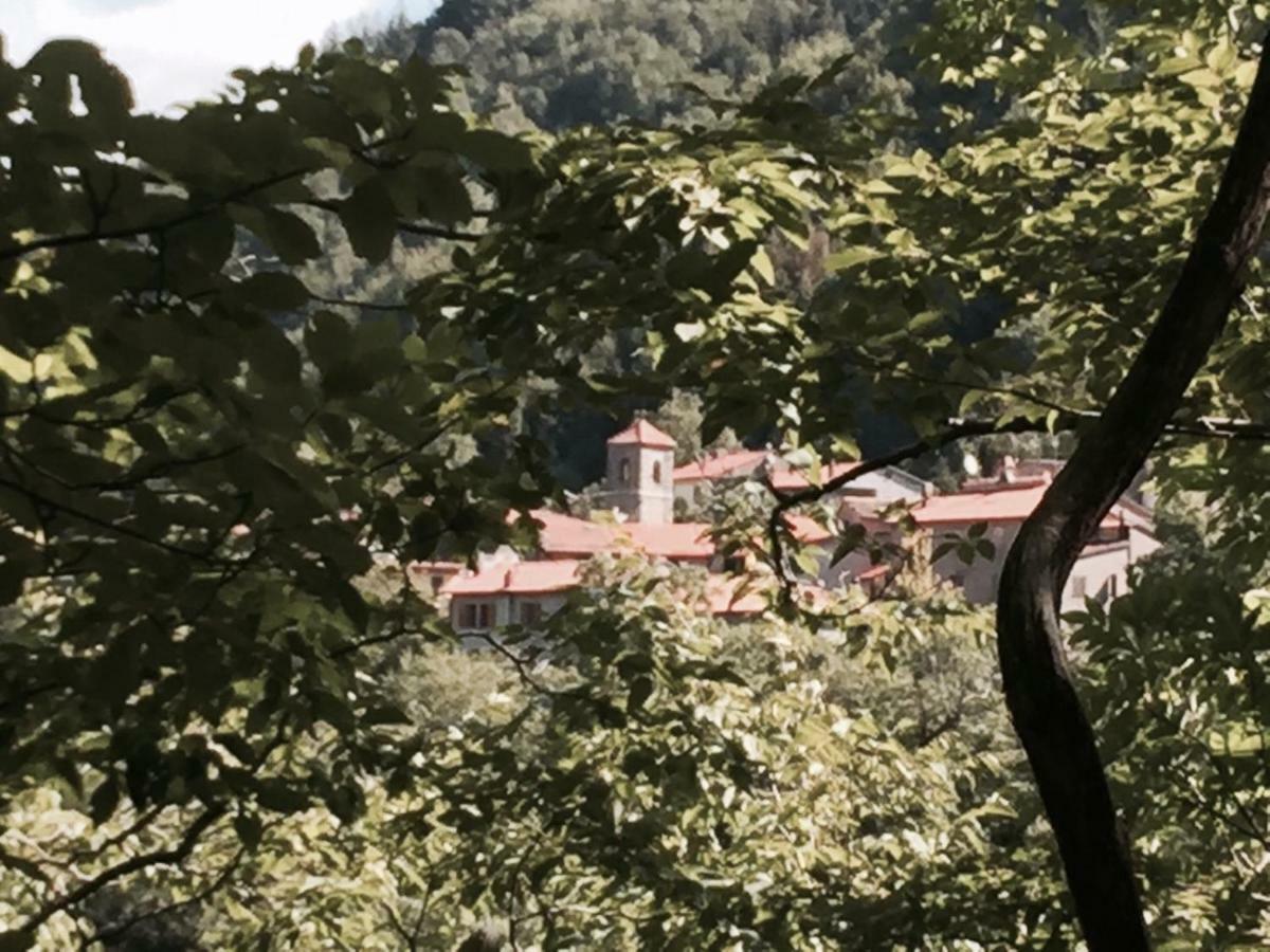 B&B Il Ghiro Castiglioni  Luaran gambar