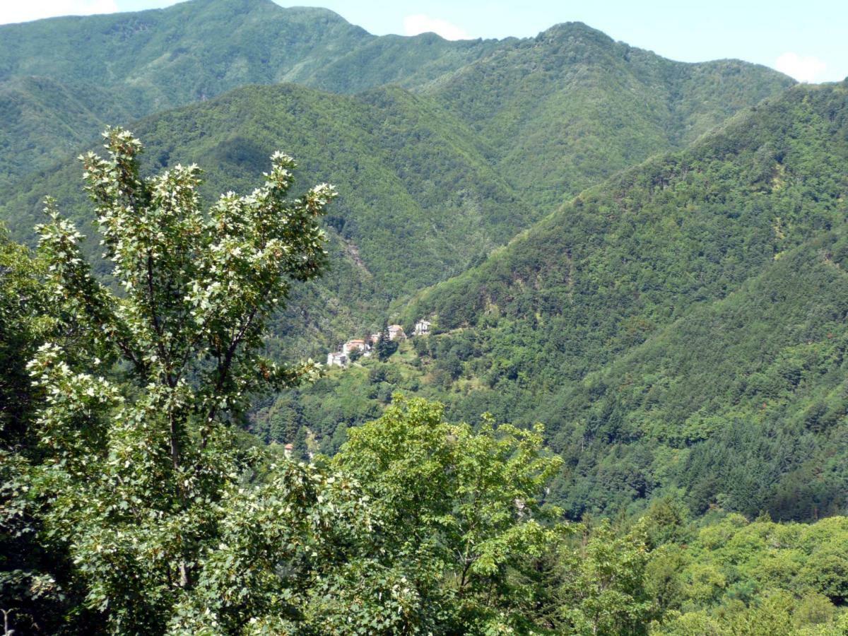 B&B Il Ghiro Castiglioni  Luaran gambar